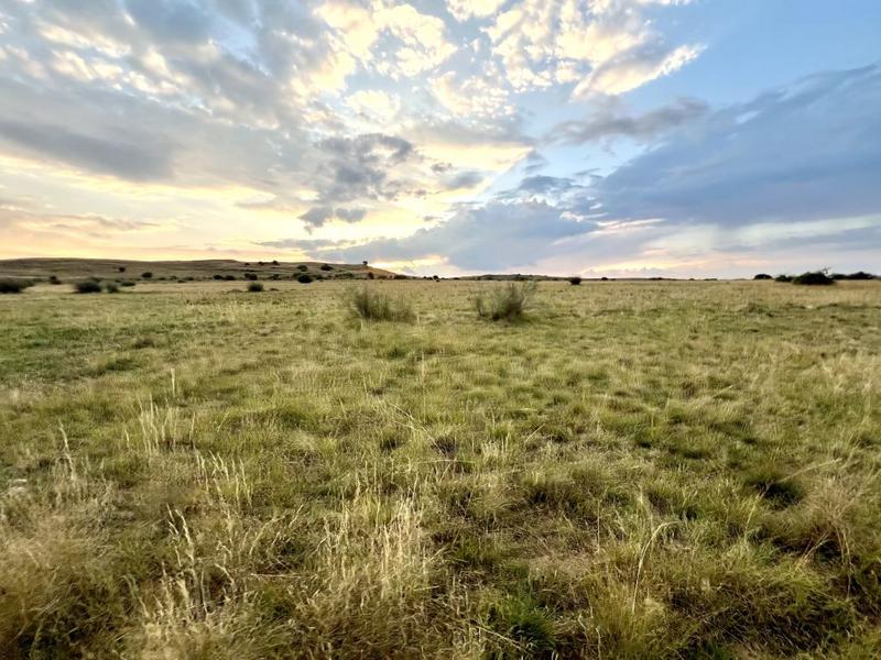 0 Bedroom Property for Sale in Steynsrus Free State